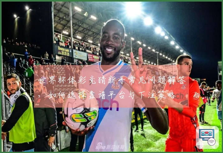 世界杯体彩竞猜新手常见问题解答，如何选择靠谱平台与下注策略