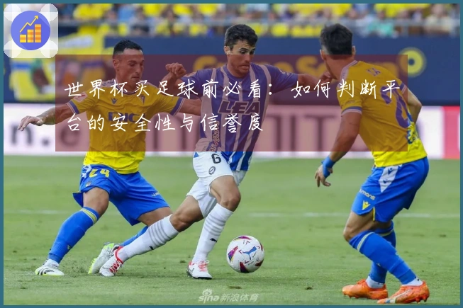 世界杯买足球前必看：如何判断平台的安全性与信誉度