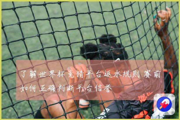了解世界杯竞猜平台返水规则 赛前如何正确判断平台信誉