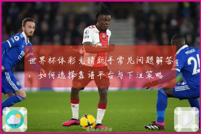 世界杯体彩竞猜新手常见问题解答，如何选择靠谱平台与下注策略